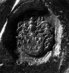 4391 Contrazegel: Luidolph van Heerema, 16 februari 1641