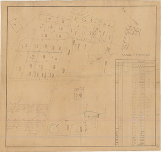 D188 Kaart van de verkoop van gronden van Charles baron de Keverberg d’Aldenghoor te Haelen, groot 65,9 ha. Akte ...