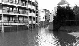 1995.A13b Januari/februari, Hoog water te Roermond en Herten