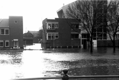 1995.A16d Januari/februari, Hoog water te Roermond en Herten