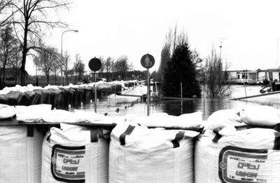 1995.A2a Januari/februari, Hoog water te Roermond en Herten