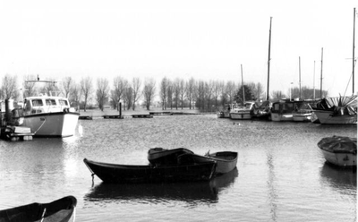 1995.A3d Januari/februari, Hoog water te Roermond en Herten