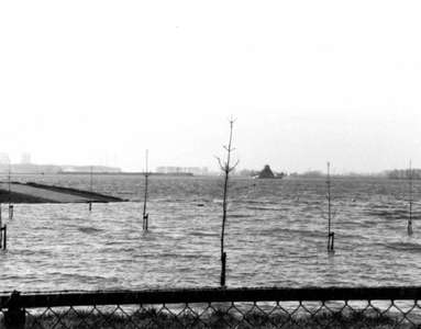 1995.A6c Januari/februari, Hoog water te Roermond en Herten