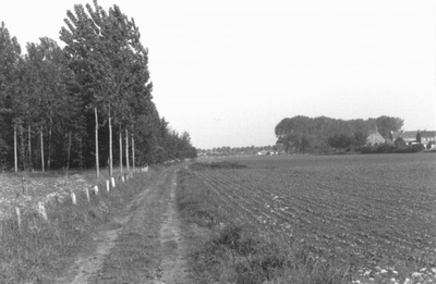 H8.806a Landweggetje vanuit Merummerkerkweg in westelijke richting.