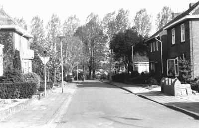 H14.001b De straat gezien vanuit de Roermondsestraat