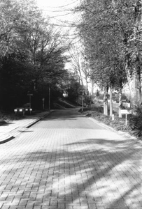 H14.003c Inkijk Wilhelminastraat vanuit de Oude Roermondseweg