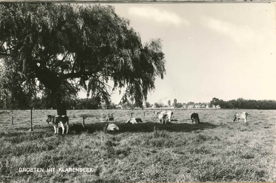 GAV-PK-K-050-g Weiland met koeien met op de achtergrond de rand van het dorp Klarenbeek.