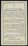 134 Cornelis Joannes Nooij Bz., datum overlijden: 17-01-1918