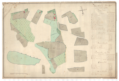 1286 Kaart van het Heeren erve de Boer Rigter, gelegen in De Lutte in het gericht Oldenzaal/C. Stemberg. - schaal in ...