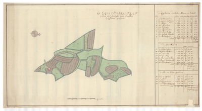 1322 Kaart van het erve Stokkentreef, gelegen in Zeldam in het gericht Delden/S. van Beinum. - schaal in Rijnl. roeden ...