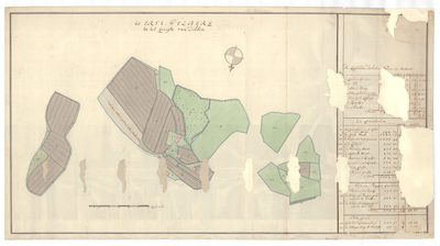 1324 Kaart van het erve Welberg, gelegen in het gericht Delden. - . - schaal in Rijnl. roeden [ ca. 1 : 2.000]. - ca. ...