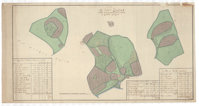 1326 Kaart van het erve Zeldam, gelegen in Zeldam in het gericht Delden/S. van Beinum. - schaal in Rijnl. roeden [ ca. ...