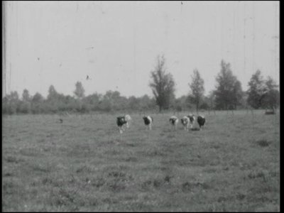 10327BB00451 Het tweede deel van een film over Lemelerveld, met beelden van het dagelijkse dorpsleven, een dameskoor, ...