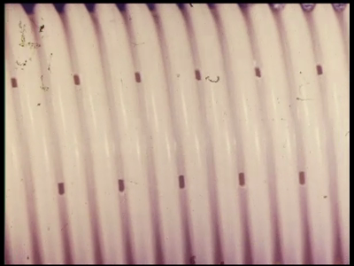 1598BB06856 Een film met beelden van een fabriekshal, met daarin op een haspel gerolde witte drainage pijpen, een ...