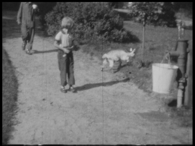 4807BB03833 Samenvatting:Privé-opnames van vakantie- en andere activiteiten van de familie Van Loo in Zwolle, eigenaar ...