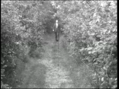 7636BB03472 Beelden van de avondwandelvierdaagse in Hardenberg.Vertrek van de individuele wandelaars en groepen.De ...