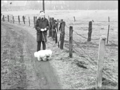7686BB04003 Verschillende privé-beelden, waaronder een stel met hond op een landweggetje, zwanen in het park, eenden ...