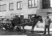 121900 Afbeelding van groenteboer Nicolaas Gerardus Bergsteijn (geb. 1888, overl. 1972) naast zijn groentekar met paard ...