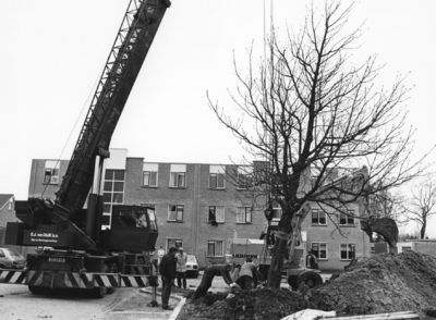 88911 Afbeelding van het plaatsen van een kastanjeboom op het Jacob Marisplein te Vleuten (gemeente Vleuten-De Meern). ...