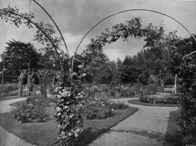 83212 Gezicht in het Rosarium Oudwijk te Utrecht.