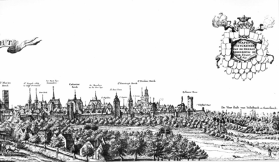 30778 Profiel van de stad Utrecht uit het westen gezien, van de Mariakerk tot en met Tolsteeg. Met rechtsboven een ...
