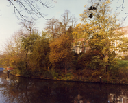 71050 Gezicht op de Stadsbuitengracht te Utrecht, in late herfsttooi; op de achtergrond de achtergevel van het huis ...