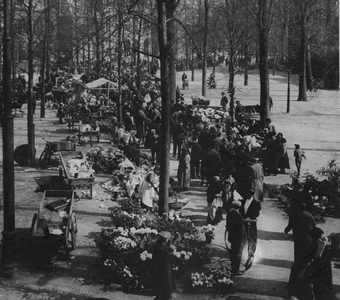 59113 Gezicht op het Janskerkhof te Utrecht, uit het zuidwesten tijdens de bloemenmarkt.