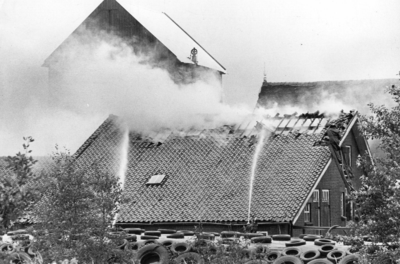90758 Afbeelding van het blussen van een brand in een veeschuur bij de boerderij Thematerweg 24 te Vleuten (gemeente ...
