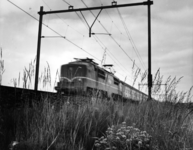 151034 Afbeelding van een electrische locomotief uit de serie 1200 van de N.S. met een buurlandtrein ter hoogte van Arnhem.