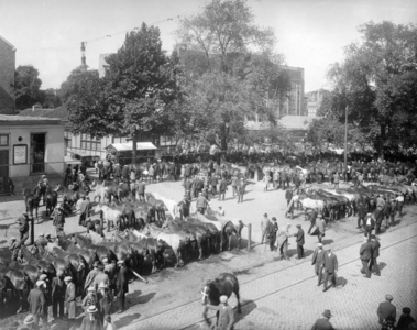 41468 Gezicht op de paardenmarkt op het Vredenburg te Utrecht.