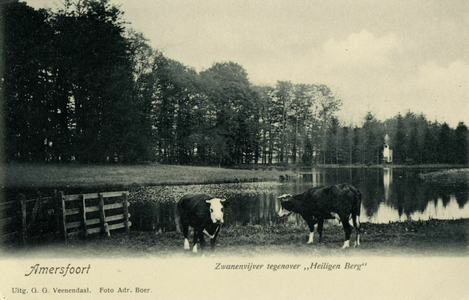 13193 Gezicht op de zwanenvijver in het park van de buitenplaats Heiligenberg (Heiligenbergerweg 5) te Leusden, met op ...