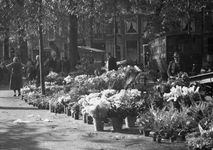 59120 Gezicht op de zuidwesthoek van het Janskerkhof te Utrecht tijdens de bloemenmarkt.