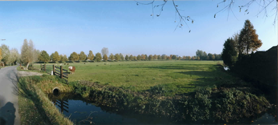 57593 Gezicht op de polder Papendorp vanaf de Groenewoudsedijk ter hoogte van het huis Groenewoudsedijk nr. 18 te Utrecht.