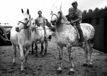 164090 Afbeelding van de aankomst van de paarden van Circus Mikkenie per trein te Utrecht.