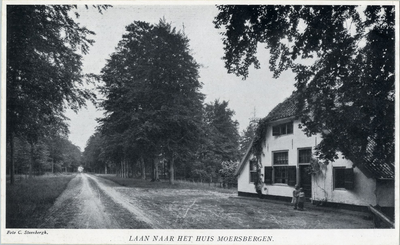 92476 Gezicht in de Moersbergselaan met loofbomen te Doorn uit het noorden; met rechts de voorgevel van een boerderij.