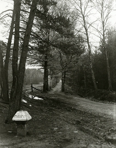 92645 Gezicht in een laan met loofbomen in het bos te Lage Vuursche (gemeente Baarn); met een ANWB-paddenstoel.