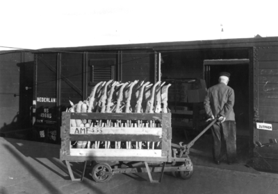 166320 Afbeelding van het beladen van een gesloten goederenwagen bij de goederenloods van het N.S.-station Amersfoort ...