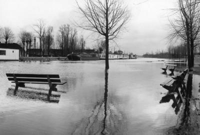 101259 Gezicht op het ondergelopen Nijenrodeplantsoen te Utrecht, tijdens hoog water in de Vecht.