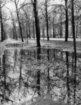 500054 Afbeelding van grote regenplassen met herfstbladeren op de groenstrook van de Maliebaan te Utrecht.