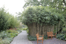 806551 Gezicht in de Botanische Tuinen van de Universiteit Utrecht in het Fort Hoofddijk (Budapestlaan 17) te Utrecht.