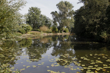 806618 Gezicht in de Botanische Tuinen van de Universiteit Utrecht in het Fort Hoofddijk (Budapestlaan 17) te Utrecht.