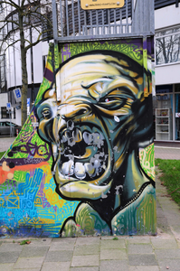 827720 Afbeelding van graffiti op de skatebaan (halfpipe) op het Paardenveld te Utrecht.