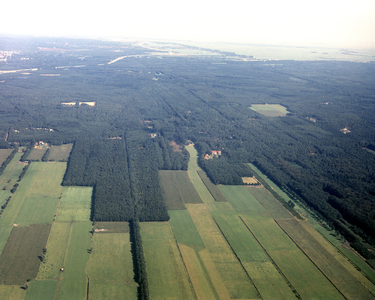 50419 Luchtfoto van de bossen te Hollandsche Rading (gemeente Maartensdijk), het Maartensdijksche Bosch te Maartensdijk ...