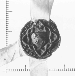 232 Een gotische vierpas door een lobbige vierpas, waarin een rechtstaand gotisch schild, 1345