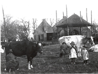 132; Koeien melken achter de boerderij Groot-Rome in Gein Noord te Abcoude