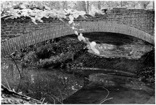  Brug bij Beerschoten