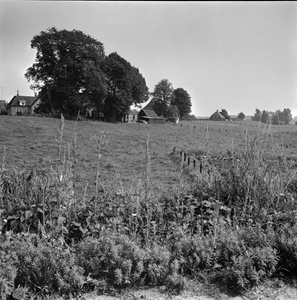 870 Gezicht op de Snippeling vanaf de Westfalenstraat. Achter de hoge bomen het woonhuis en de werkplaats van timmerman ...