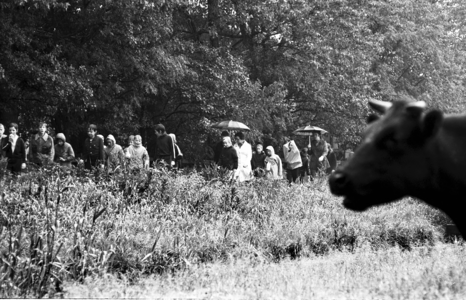 RJ000000187 Purmerendse schoolkinderen lopen in de buurt van Kwadijk de Avondvierdaagse.(NNC 12-06-1972)