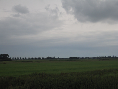 WAT120003334 Weilanden rechts van de stolpboerderij ''Schouwzicht'' aan de Westerweg nummer 74.