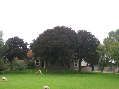 WAT120003434 Boerderij met land aan de Westerweg 19.